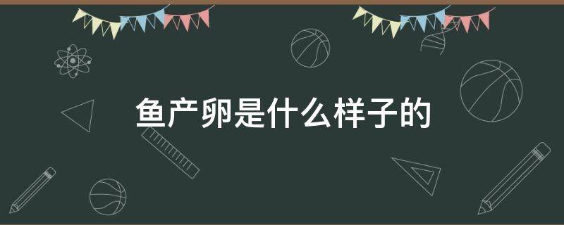 鱼产卵是什么样子的 草金鱼产卵是什么样子的