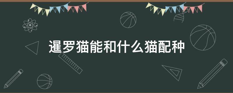 暹罗猫能和什么猫配种（暹罗猫可以和什么猫配种）