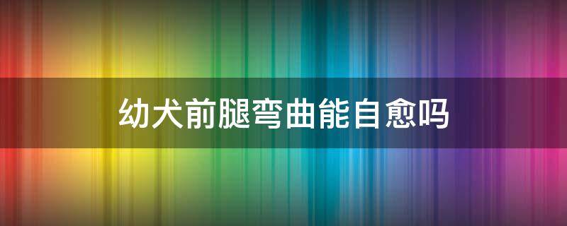 幼犬前腿弯曲能自愈吗 幼犬前腿弯曲能治好吗?