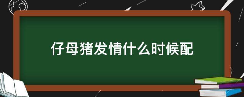 仔母猪发情什么时候配