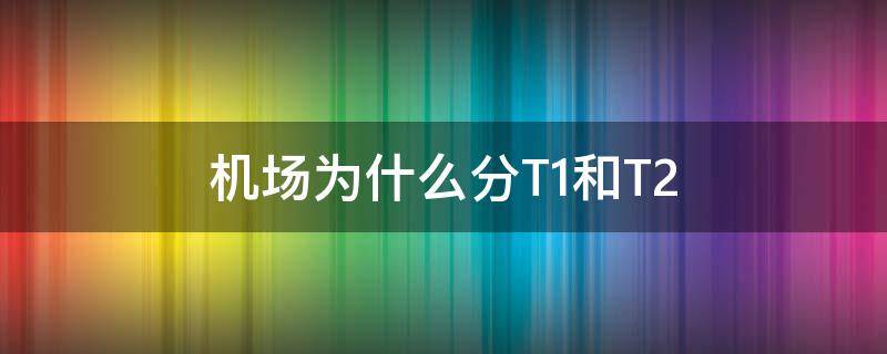 机场为什么分T1和T2 机场T1和T2是什么意思