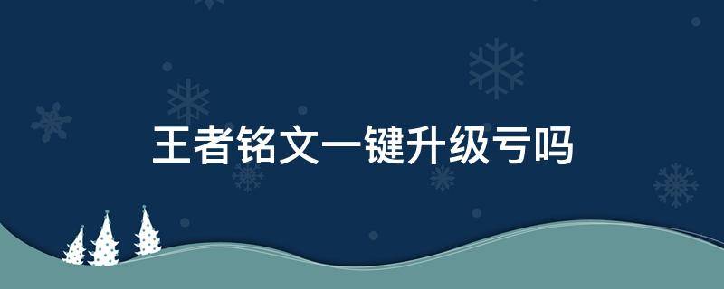 王者铭文一键升级亏吗（王者荣耀铭文一个一个升级还是一键升级）