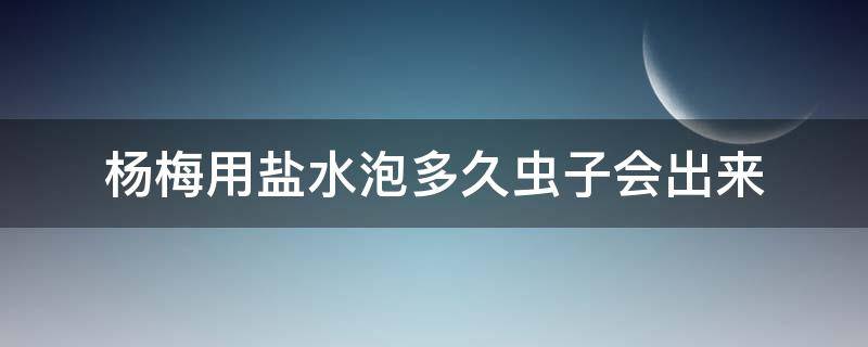 杨梅用盐水泡多久虫子会出来 杨梅用盐水泡多久虫子会出来能吃吗?