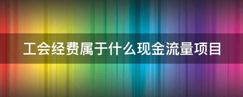 工会经费属于什么现金流量项目 工会经费属于什么现金流量项目类别