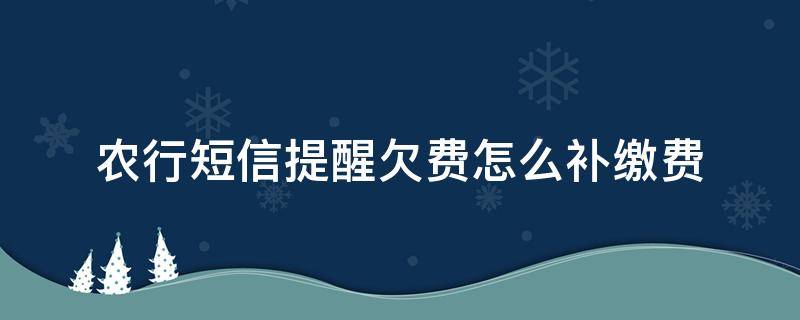 农行短信提醒欠费怎么补缴费 农行短信提醒欠费怎么补缴费不知道k令是什么