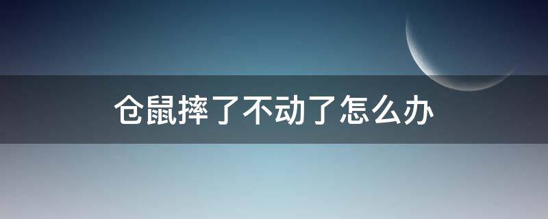 仓鼠摔了不动了怎么办 仓鼠被狠狠的摔了不动了怎么办