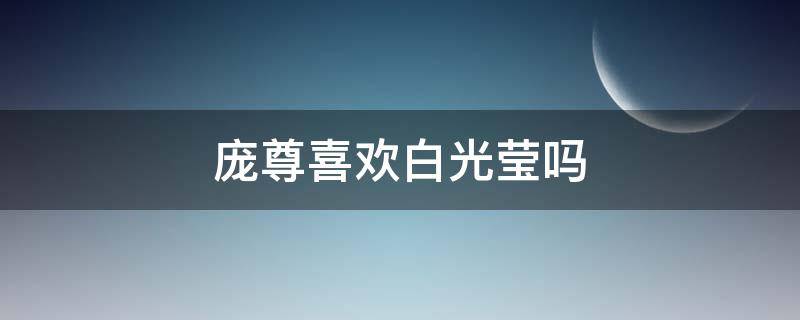 庞尊喜欢白光莹吗（庞尊喜欢白光莹吗叶罗丽小剧场）