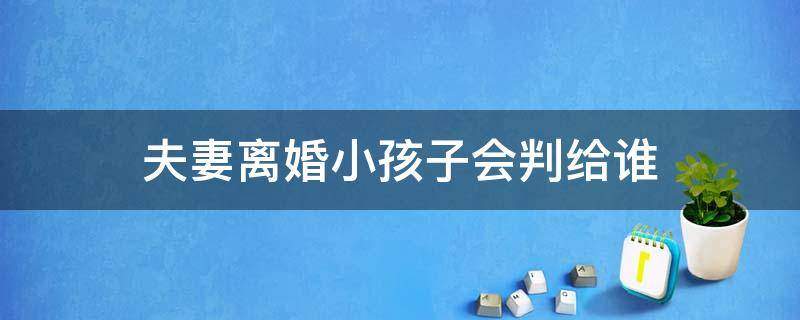 夫妻离婚小孩子会判给谁（夫妻离婚之后孩子一般判给谁）