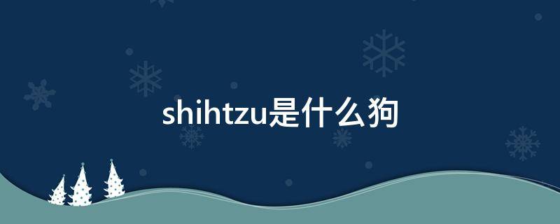 shihtzu是什么狗（shihpoo是什么狗）