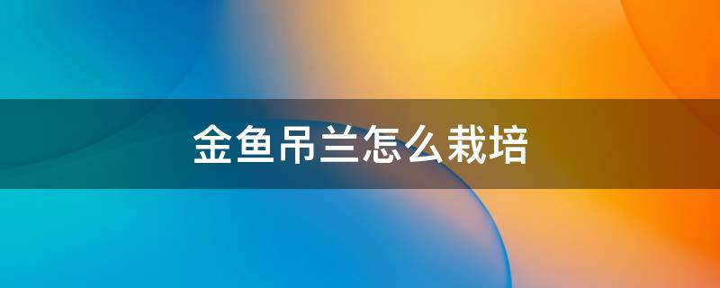 金鱼吊兰怎么栽培 金鱼吊兰怎么移植