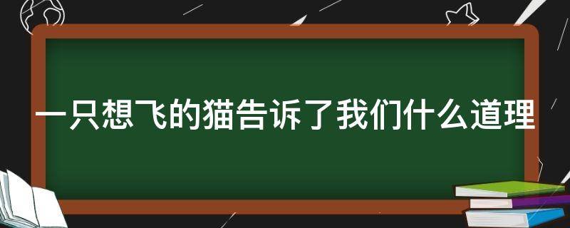 一只想飞的猫告诉了我们什么道理 一只想飞的猫告诉我们什么道理 选择题