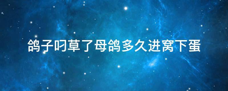 鸽子叼草了母鸽多久进窝下蛋 鸽子往窝里叼草多久才能下蛋