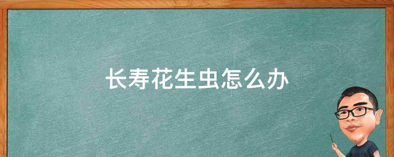 长寿花生虫怎么办 长寿花生虫了,请教这是什么虫,怎么治?