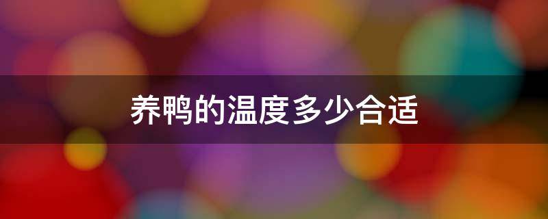 养鸭的温度多少合适 养鸭温度参照表