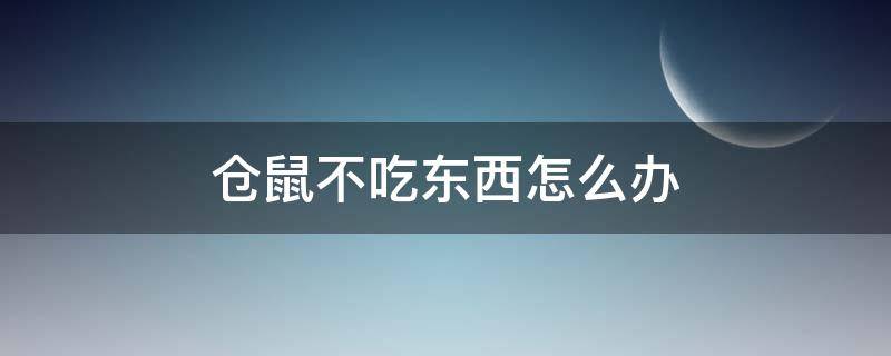 仓鼠不吃东西怎么办 刚买的仓鼠不吃东西怎么办