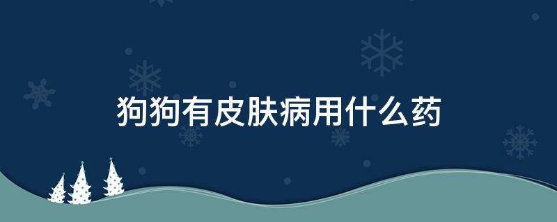 狗狗有皮肤病用什么药（狗狗的皮肤病用什么药治最好）