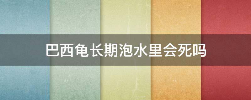 巴西龟长期泡水里会死吗 巴西龟泡水里会死么