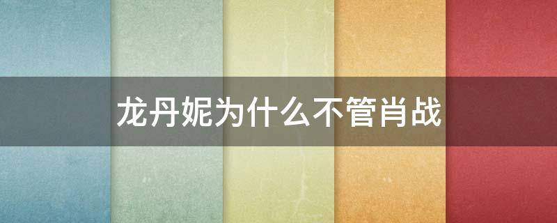 龙丹妮为什么不管肖战 龙丹妮为啥不喜欢肖战