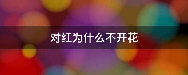 对红为什么不开花 对红为什么不开花怎么饲养