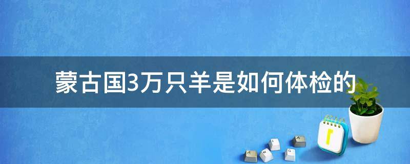 蒙古国3万只羊是如何体检的 蒙古国3万只羊是如何体检的 视频