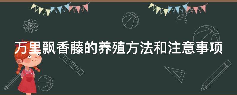 万里飘香藤的养殖方法和注意事项（万里飘香藤的养殖方法和注意事项有哪些）