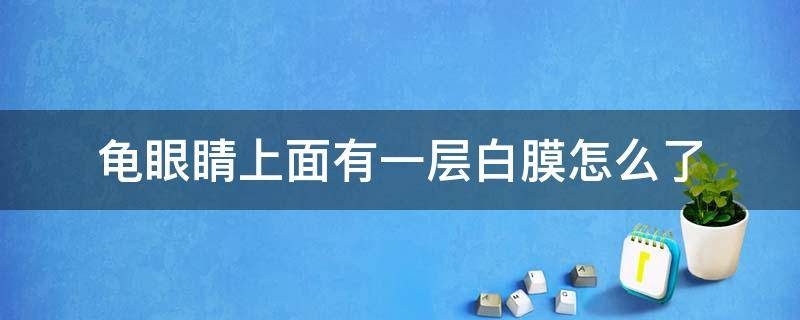 龟眼睛上面有一层白膜怎么了 乌龟眼睛上有一层白膜