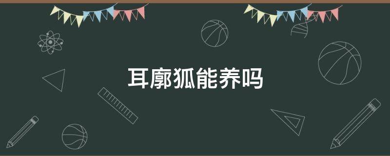 耳廓狐能养吗 耳廓狐能养吗是宠物吗