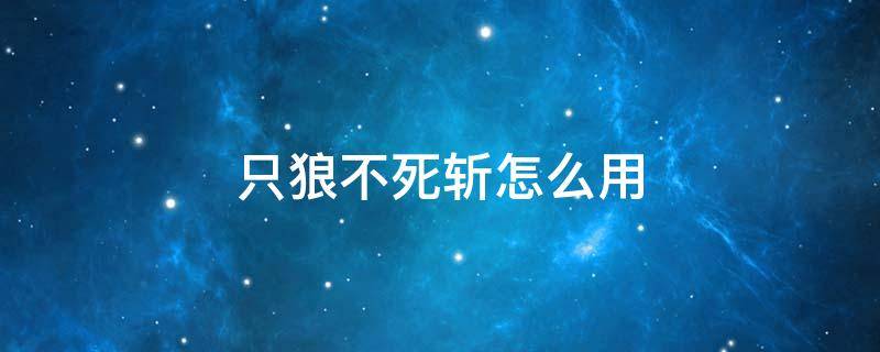 只狼不死斩怎么用 只狼不死斩使用方法