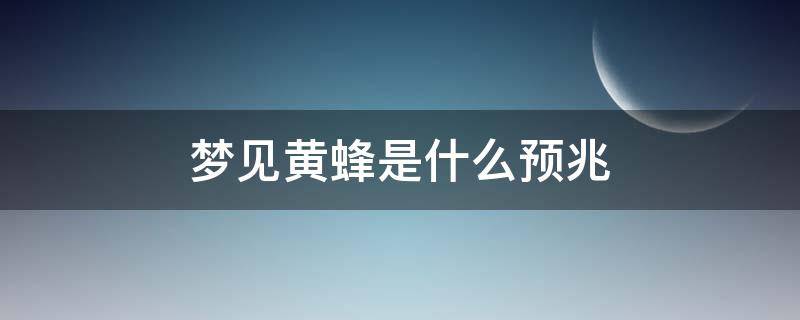 梦见黄蜂是什么预兆 梦见大黄蜂是什么预兆