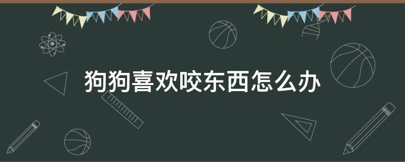 狗狗喜欢咬东西怎么办（狗狗喜欢咬东西怎么回事）