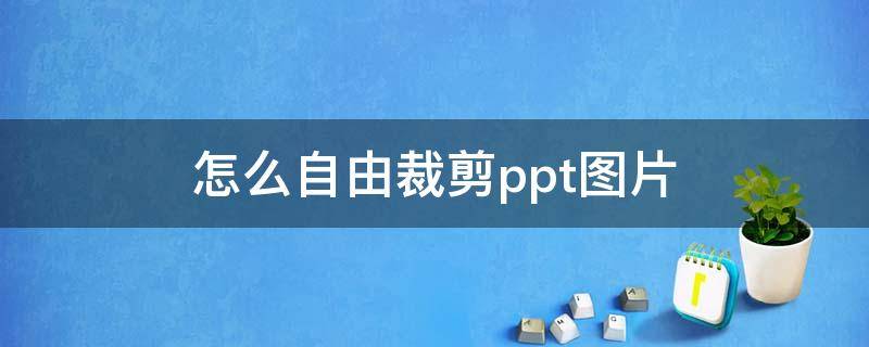 怎么自由裁剪ppt图片（PPT图片自由裁剪）