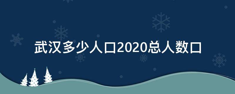 武汉多少人口2020总人数口（武汉人口数量2020总数）