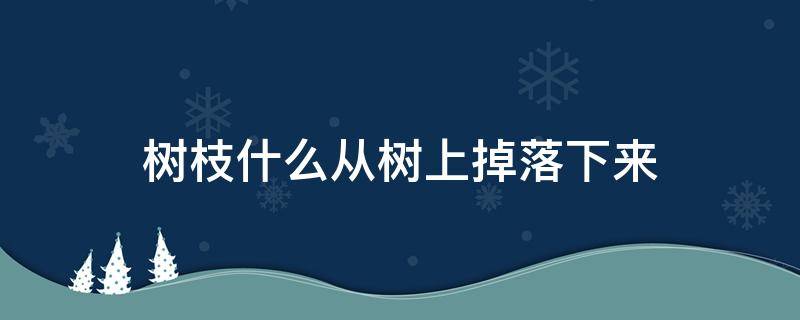 树枝什么从树上掉落下来（树枝什么从树上掉落下来填动词）