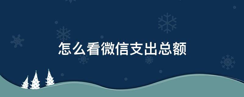 怎么看微信支出总额（从哪里看微信收入支出总额）