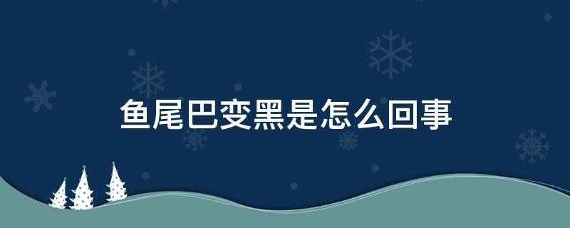 鱼尾巴变黑是怎么回事 鱼尾巴发黑是什么原因导致的