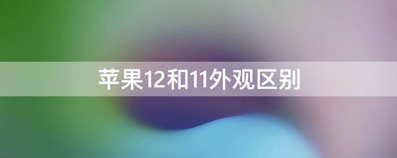 苹果12和11外观区别（苹果12和11的区别）