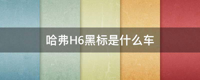 哈弗H6黑标是什么车（哈弗H6怎么又成黑标了）