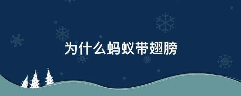 为什么蚂蚁带翅膀 蚂蚁为啥有的带翅膀