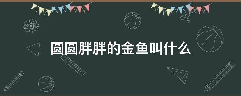 圆圆胖胖的金鱼叫什么（圆嘟嘟的金鱼叫什么）