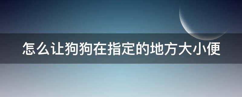 怎么让狗狗在指定的地方大小便（狗狗乱尿最简单的方法）