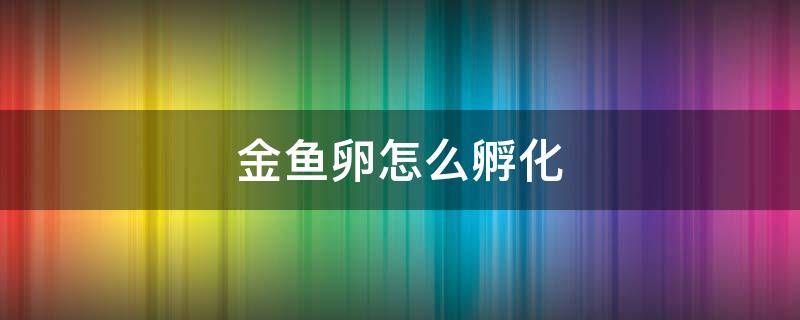 金鱼卵怎么孵化 兰寿金鱼卵怎么孵化