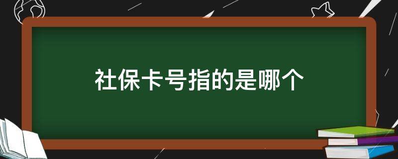 社保卡号指的是哪个（社保卡号指的是哪个图片）