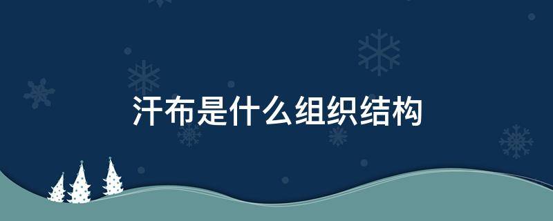 汗布是什么组织结构 针织汗布的组织结构图