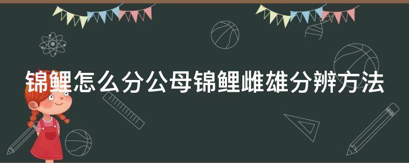 锦鲤怎么分公母锦鲤雌雄分辨方法 锦鲤怎么分辨雌雄视频