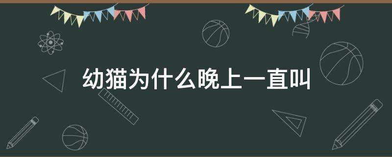 幼猫为什么晚上一直叫（幼猫为啥晚上一直叫）