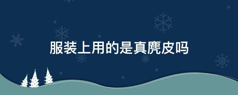 服装上用的是真麂皮吗 麂皮都是真的吗