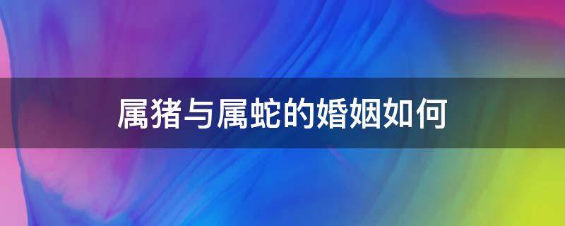 属猪与属蛇的婚姻如何 属蛇人和属猪的婚姻怎么样