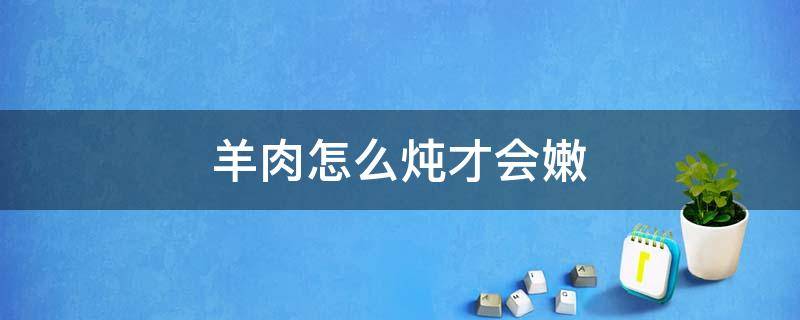 羊肉怎么炖才会嫩（羊肉怎么炖肉比较嫩）