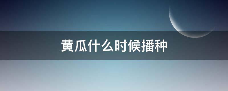 黄瓜什么时候播种 第二批黄瓜什么时候播种