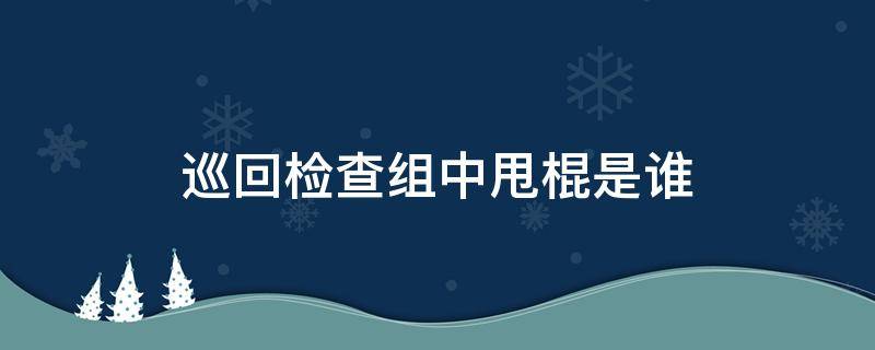 巡回检查组中甩棍是谁（巡回检查组甩棍都有谁）